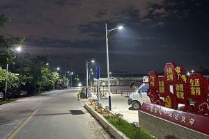 江南（中国）-江南（中国）集团罗宁弟爱心捐赠路灯，点亮乡村路温暖乡民心
