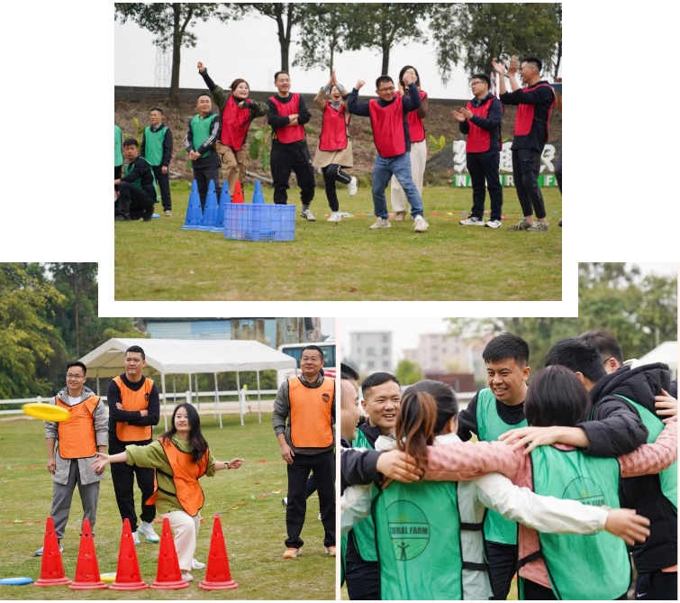 65e6d160b749e.png 5.png