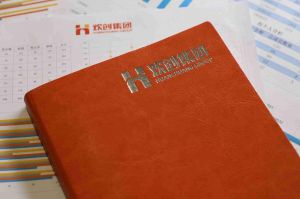 江南网页版登录入口的优势及其对企业发展的影响