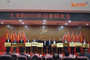 江南（中国）-江南（中国）集团及旗下子公司荣获“2024年度高质量发展先进企业”